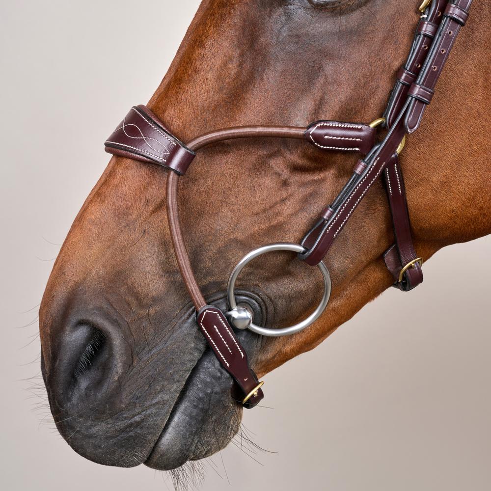 Elastic Hybrid Noseband Bridle DY |  | Durable — Image 8