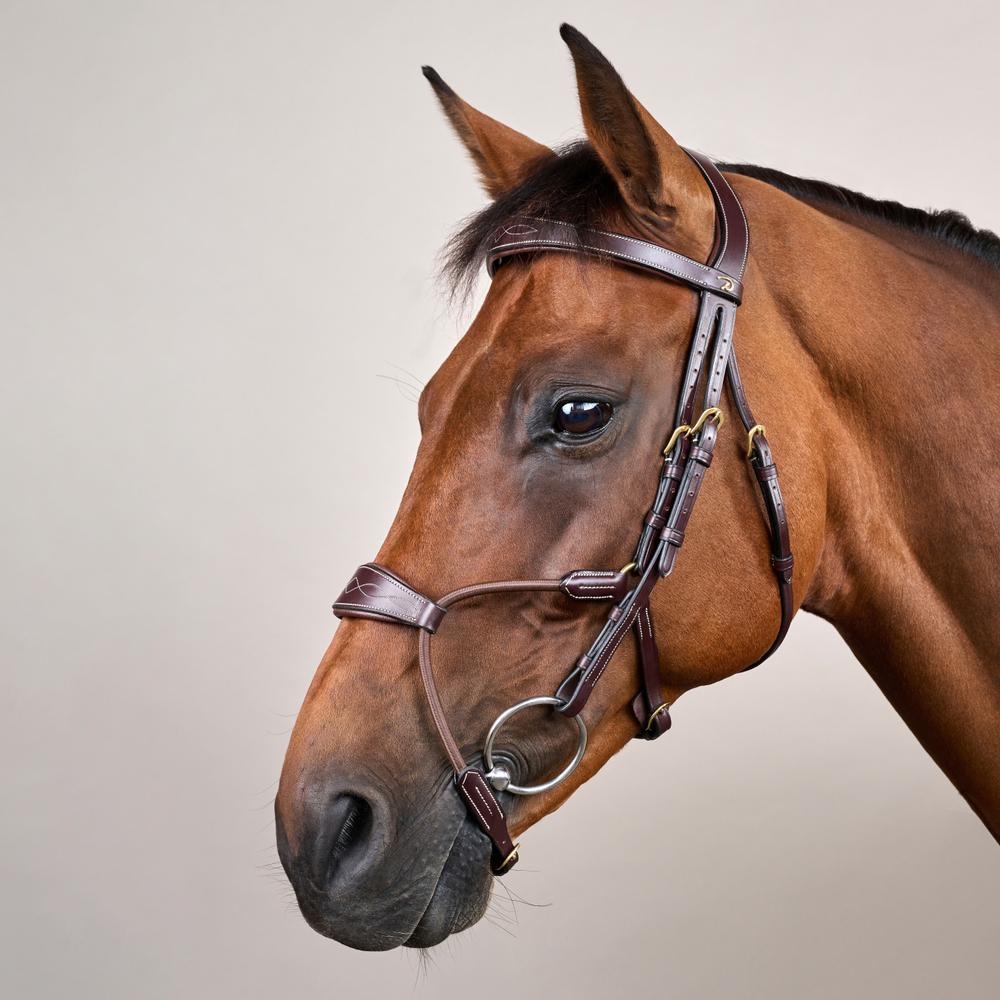 Elastic Hybrid Noseband Bridle DY |  | Durable — Image 6