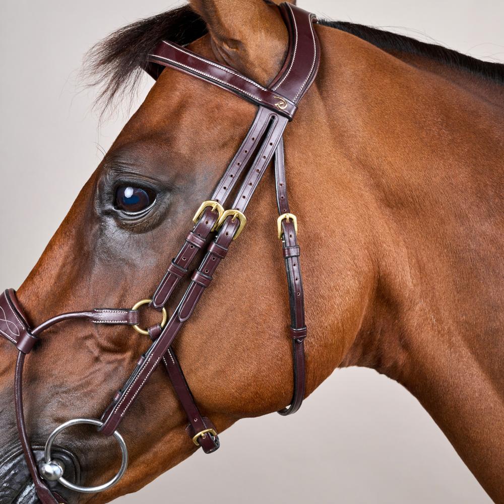 Hybrid Noseband Bridle DY |  | DurableLeather — Image 9