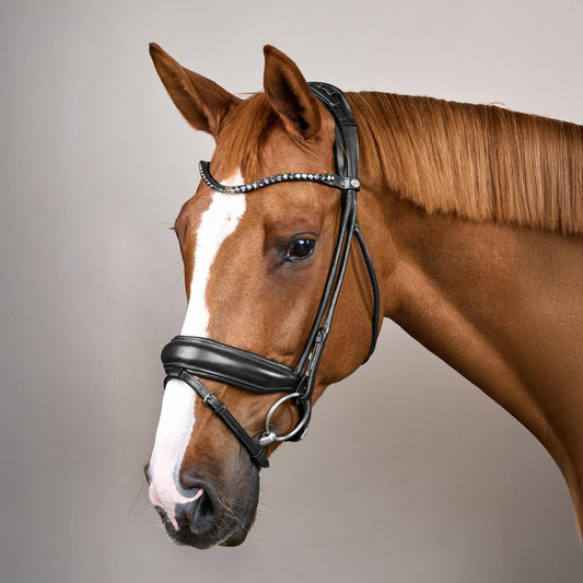 Bridle Round with Large Noseband Soft Leather SO |  | innovative — Image 2