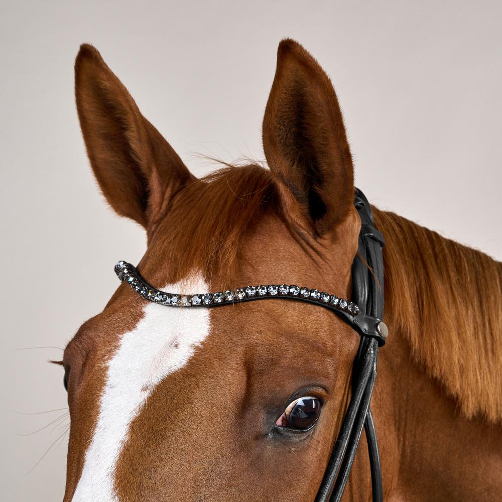 Bridle Round with Large Noseband Soft Leather SO |  | innovative — Image 4