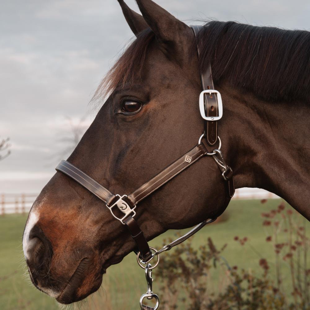 US Halter  | Dy'on | Durability — Image 3