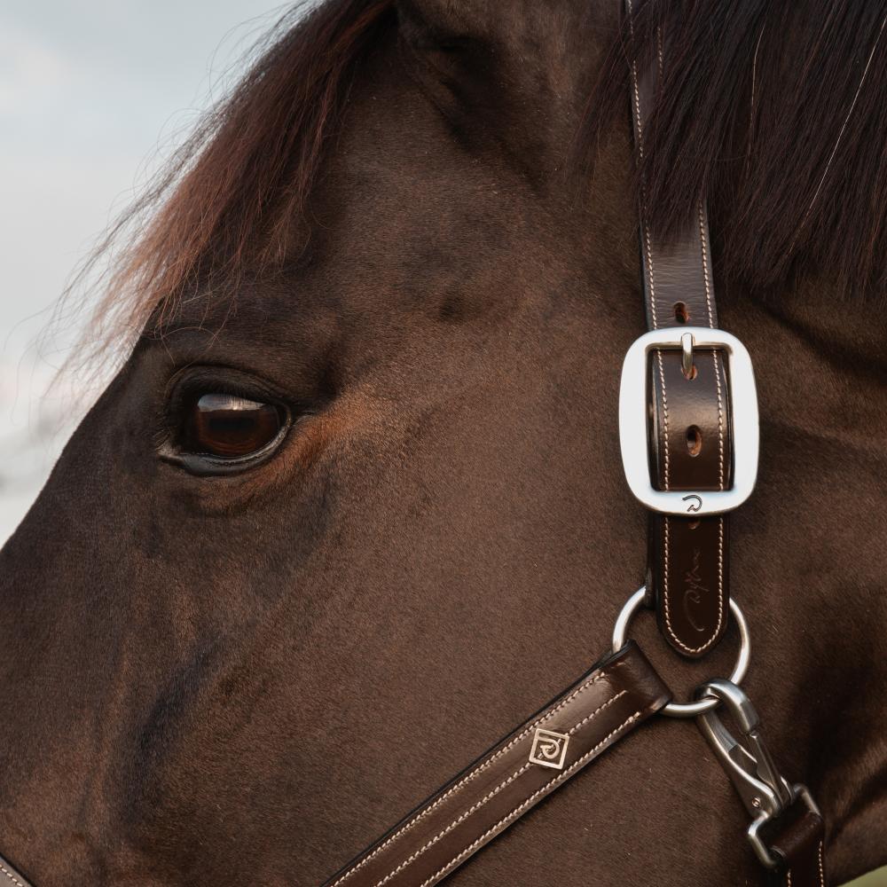 US Halter  | Dy'on | Durability — Image 5