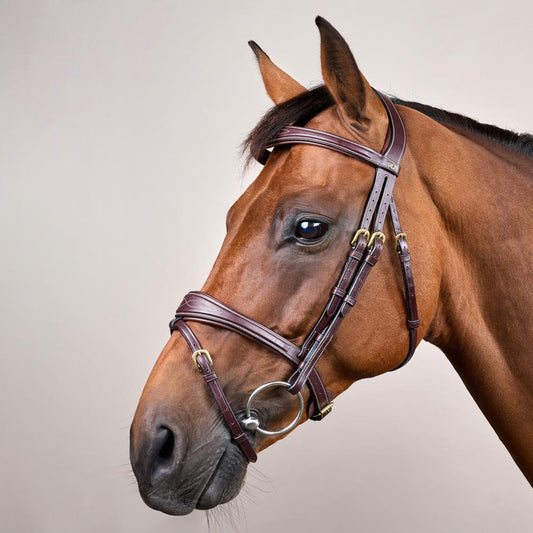 Anatomic Flash Noseband Bridle DY | Dy'on | luxuriousleather — Image 2