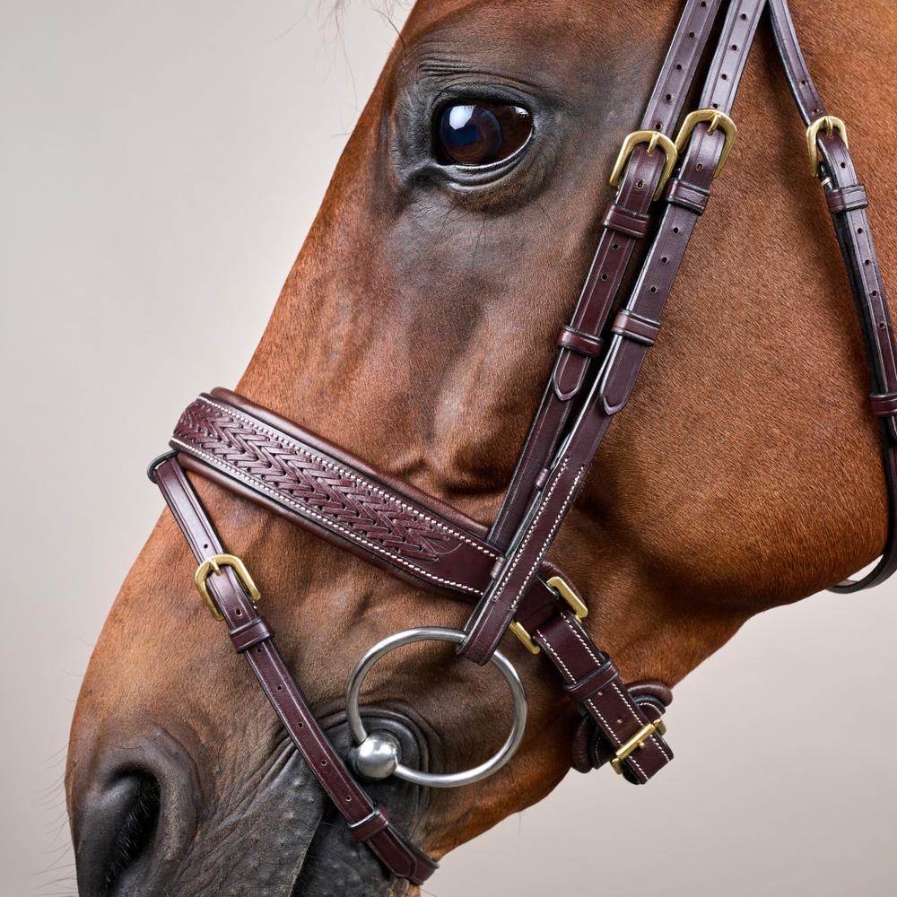 Plaited Flash Noseband Bridle with Pull back DY | Dy'on | elegance — Image 4