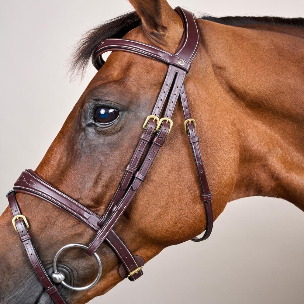 Anatomic Flash Noseband Bridle DY | Dy'on | luxuriousleather — Image 3