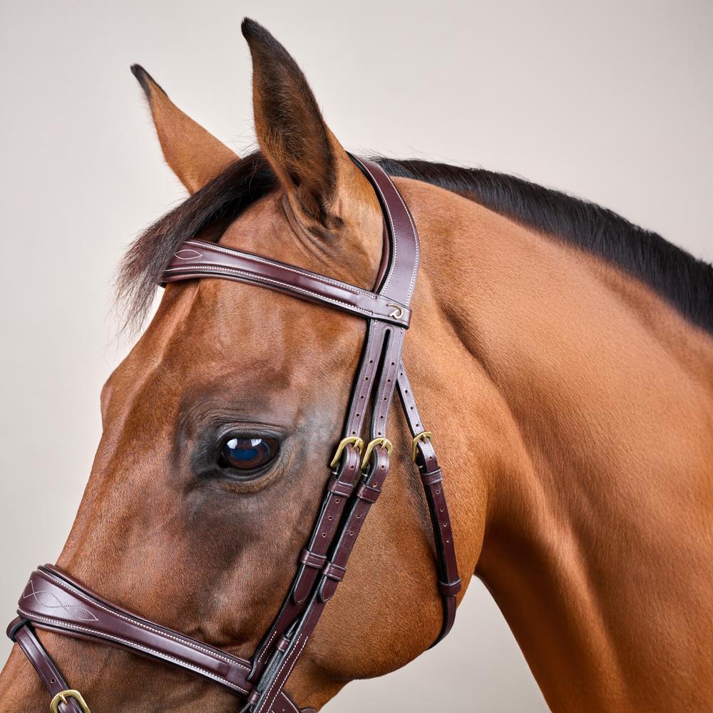 Anatomic Flash Noseband Bridle DY | Dy'on | luxuriousleather — Image 4
