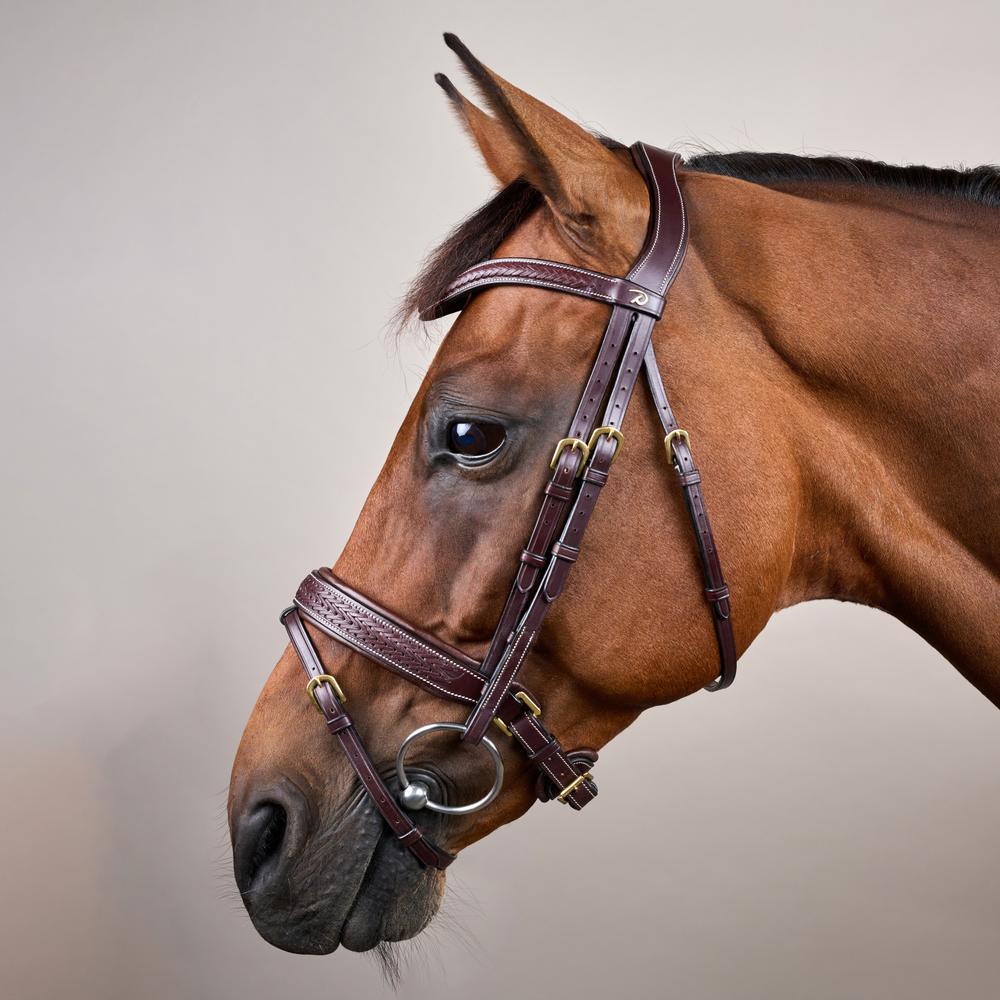 Plaited Flash Noseband Bridle with Pull back DY | Dy'on | elegance — Image 3