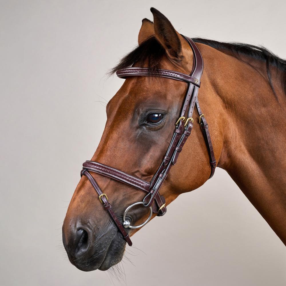 Plaited Flash Noseband Bridle DY | Dy'on | Comfort — Image 7