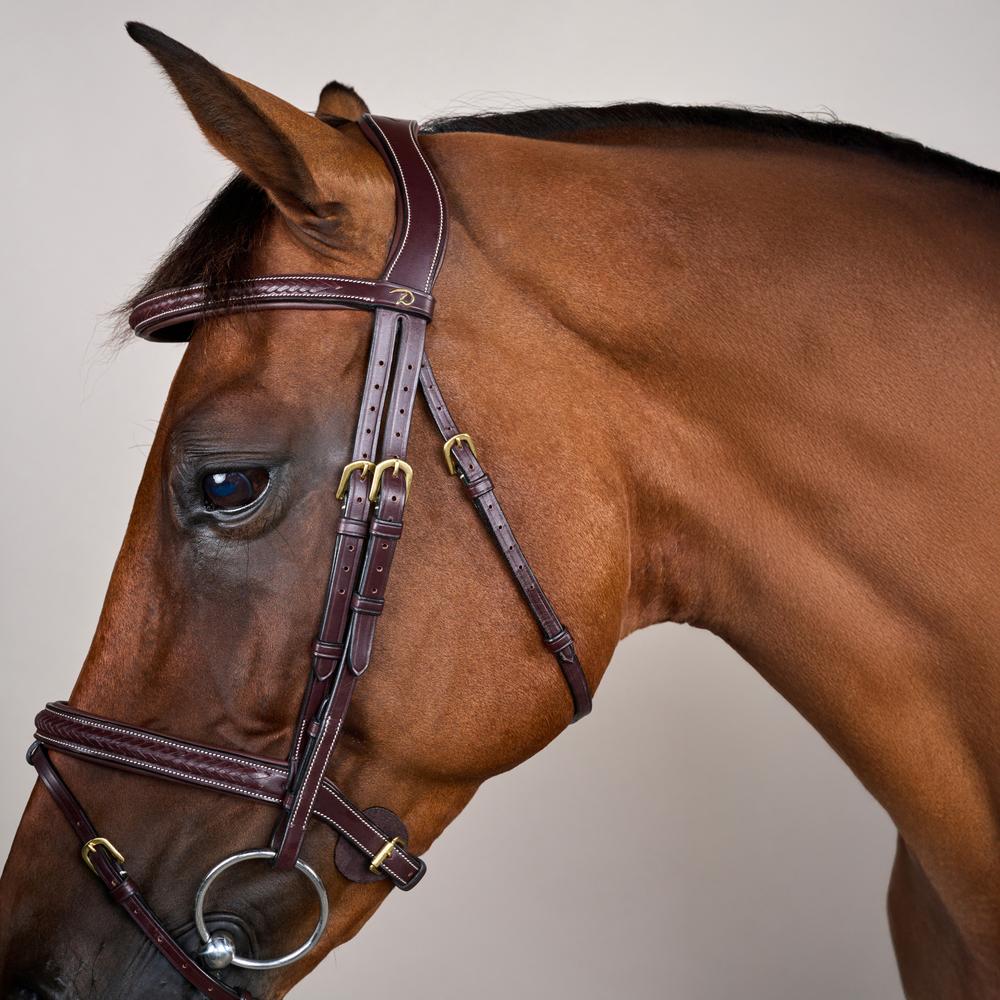 Plaited Flash Noseband Bridle DY | Dy'on | Comfort — Image 8