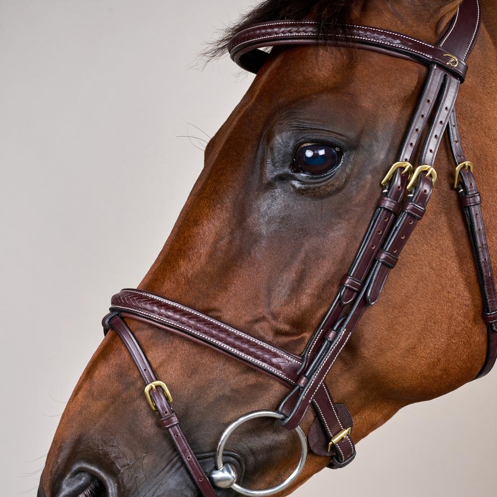 Plaited Flash Noseband Bridle DY | Dy'on | Comfort — Image 9