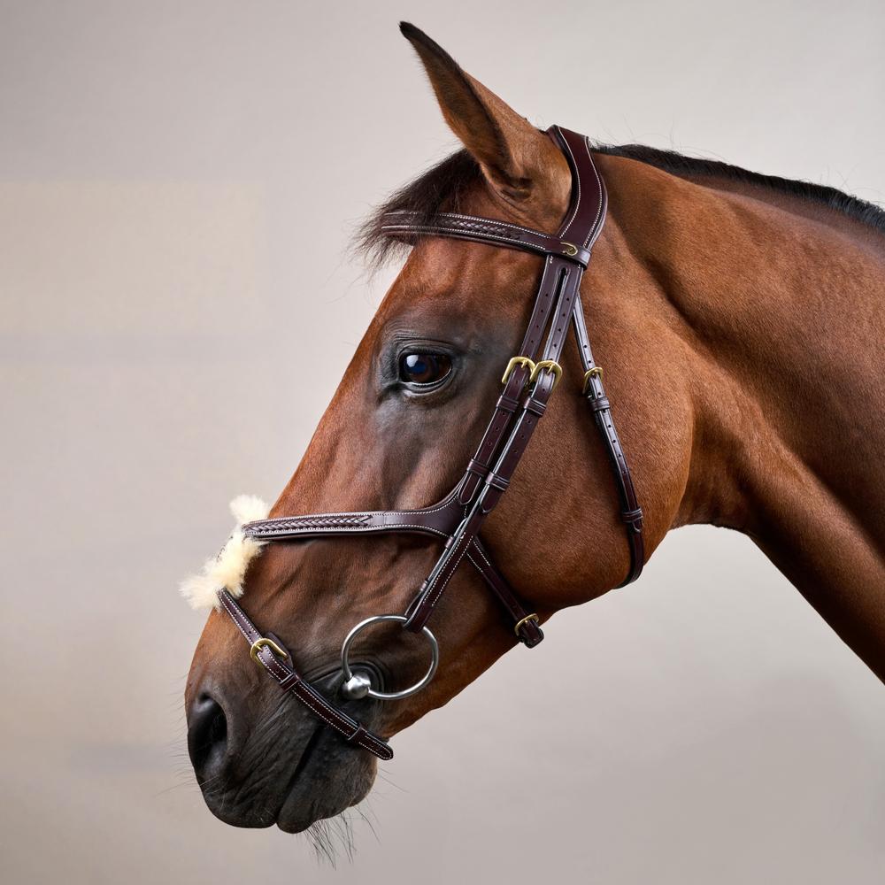Plaited Figure 8 Noseband Bridle DY |  | elegance — Image 9