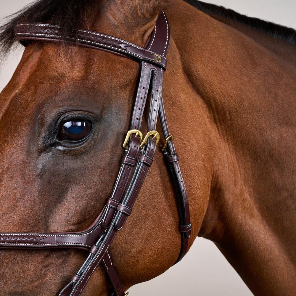 Plaited Figure 8 Noseband Bridle DY |  | elegance — Image 8