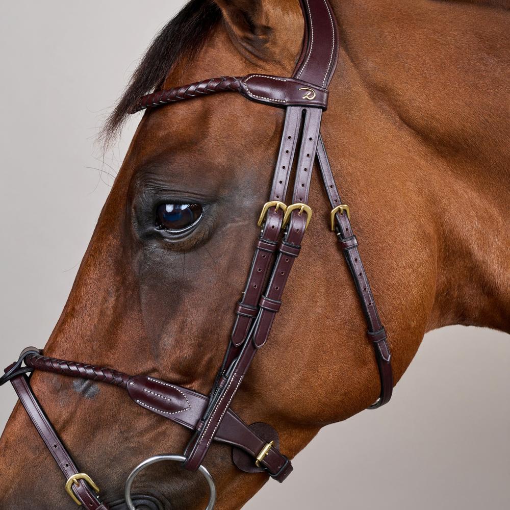 Braided Flash Noseband Bridle DY | Dy'on | premiumleather — Image 4