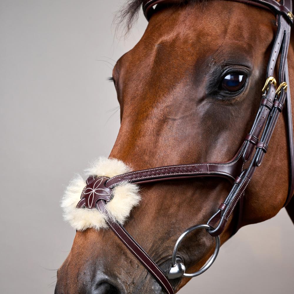 Plaited Figure 8 Noseband Bridle DY |  | elegance — Image 7