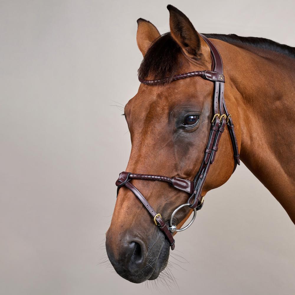 Braided Flash Noseband Bridle DY | Dy'on | premiumleather