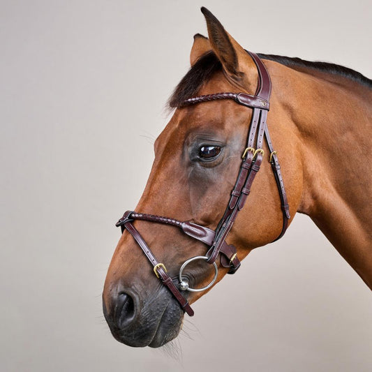 Braided Flash Noseband Bridle DY | Dy'on | premiumleather — Image 2