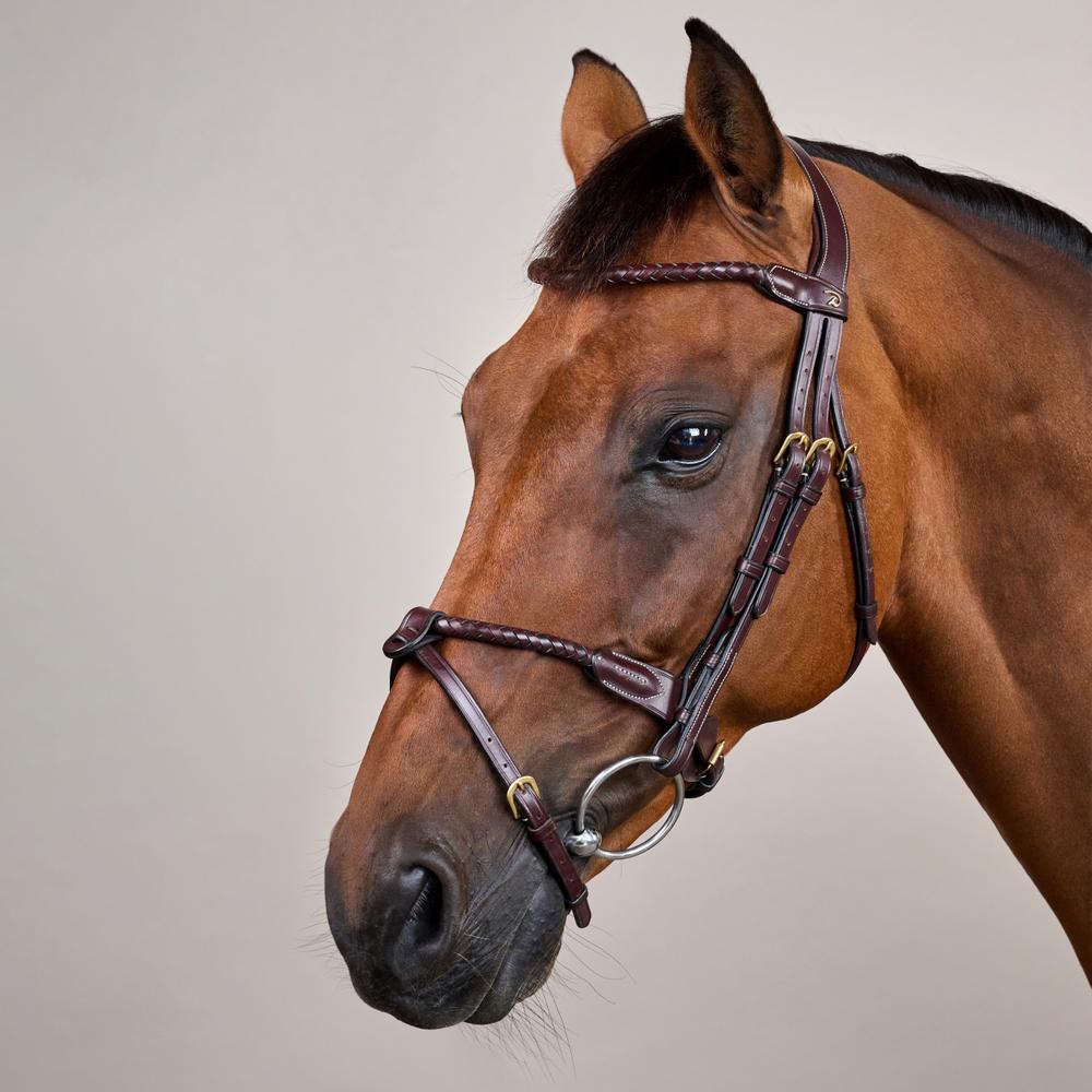 Braided Flash Noseband Bridle DY | Dy'on | premiumleather — Image 3