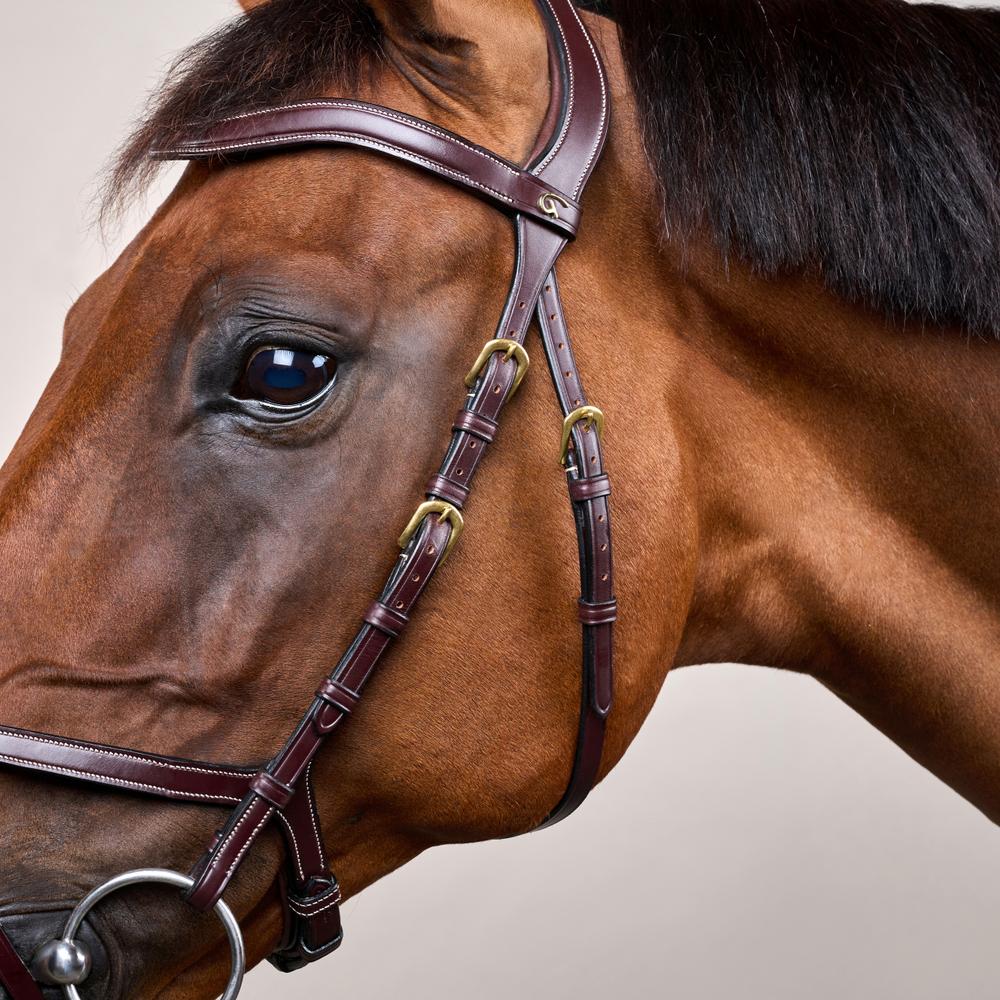 X-Fit Bridle DY | Dy'on | PremiumLeather — Image 3