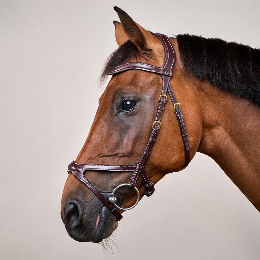 X-Fit Bridle DY | Dy'on | PremiumLeather — Image 2
