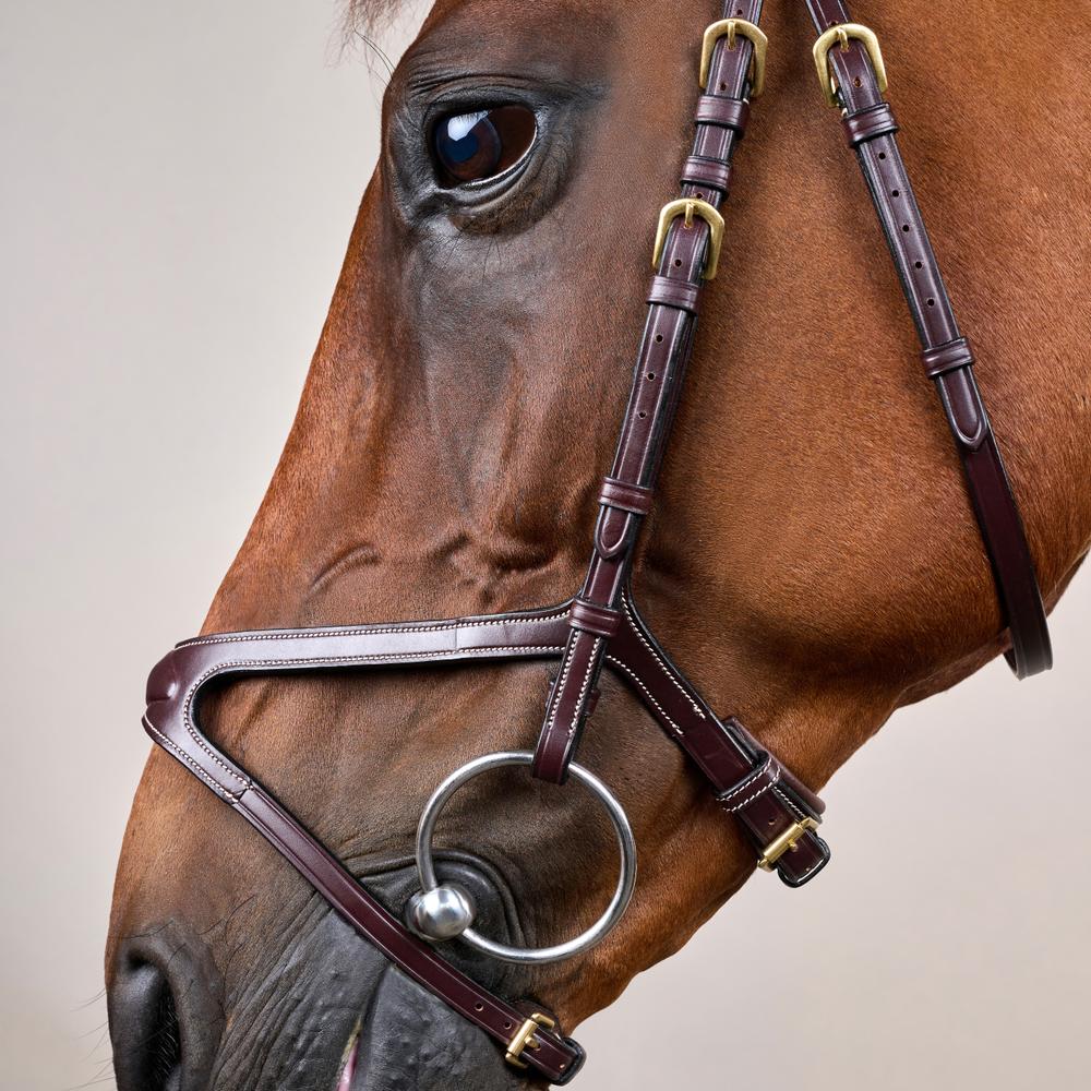 X-Fit Bridle DY | Dy'on | PremiumLeather