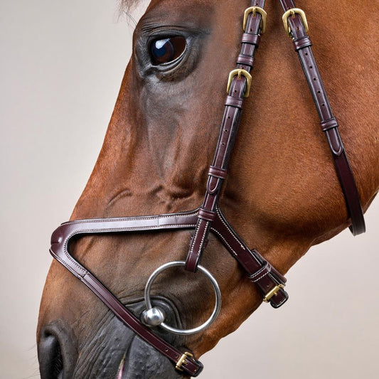 X-Fit Bridle DY | Dy'on | PremiumLeather