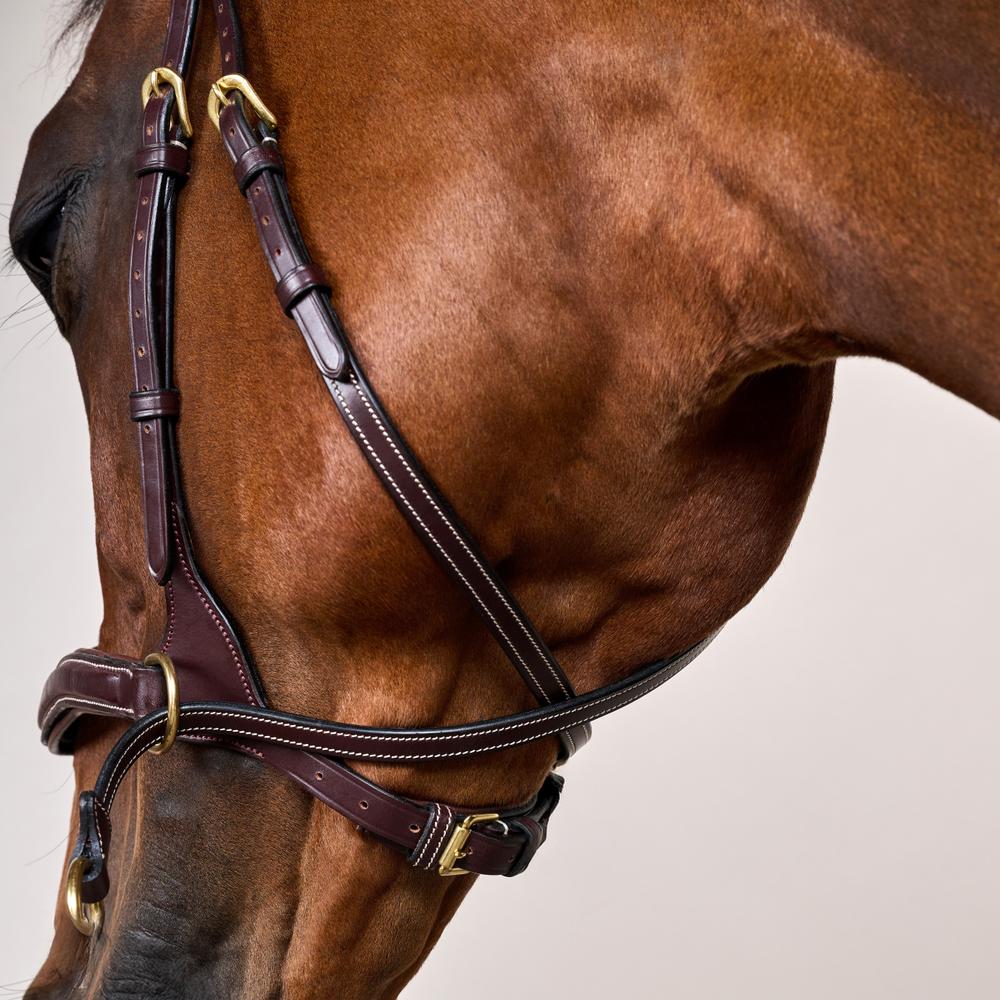 D Motion Bridle DY | Dy'on | Comfort — Image 19