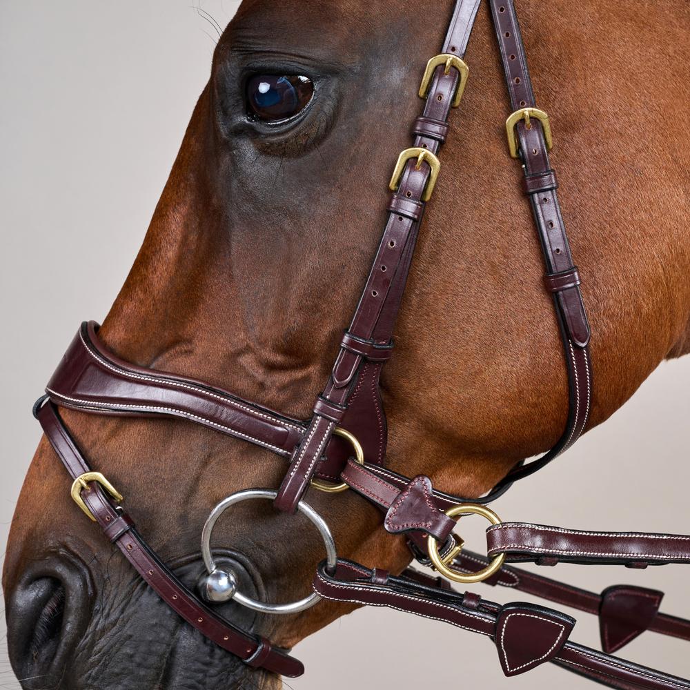 D Motion Bridle DY | Dy'on | Comfort — Image 18