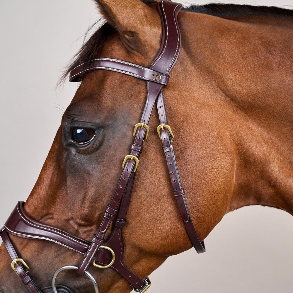 D Motion Bridle DY | Dy'on | Comfort — Image 15