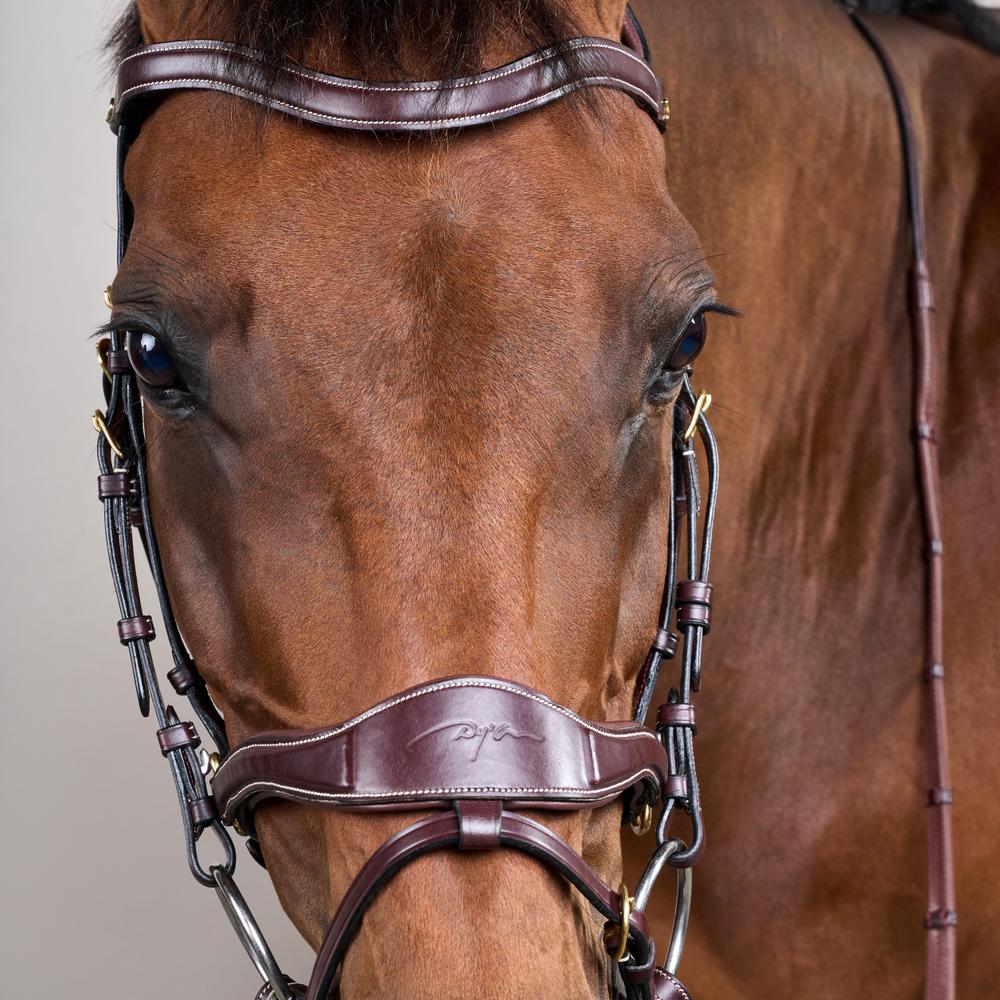 D Motion Bridle DY | Dy'on | Comfort — Image 13