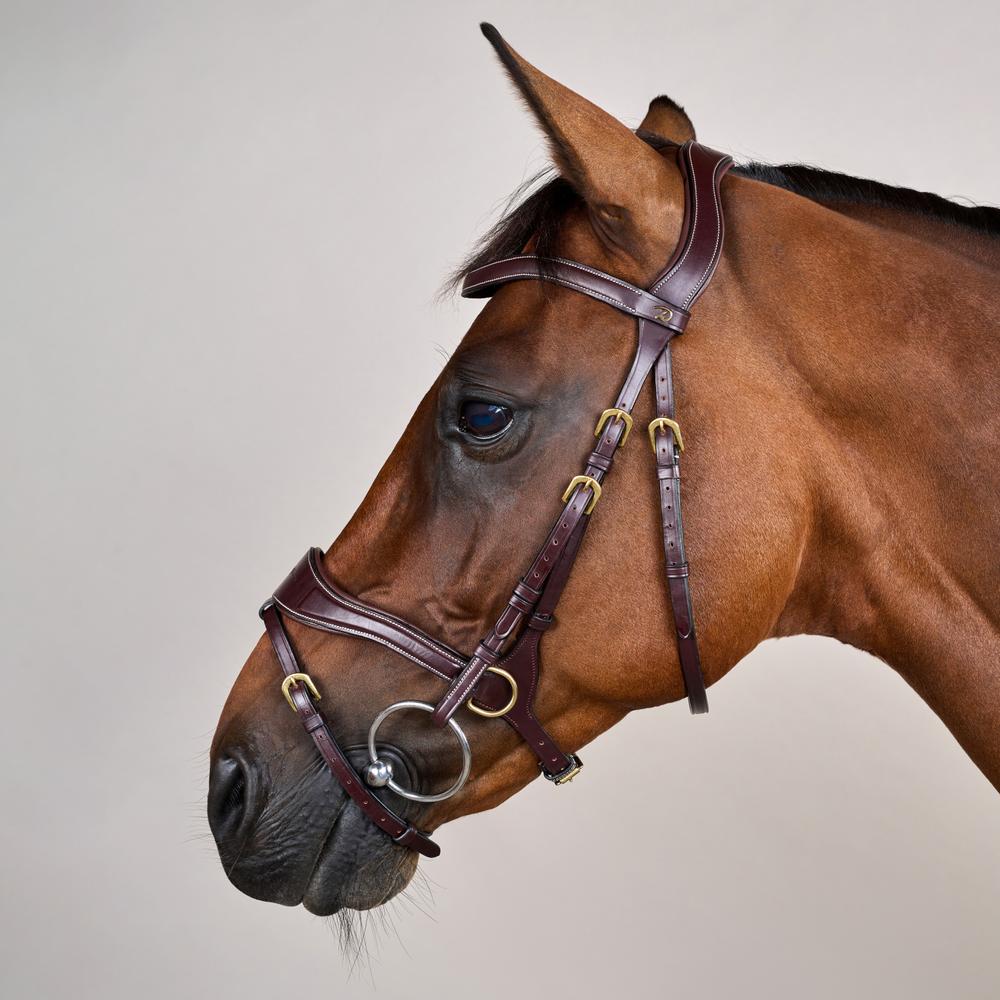D Motion Bridle DY | Dy'on | Comfort — Image 16