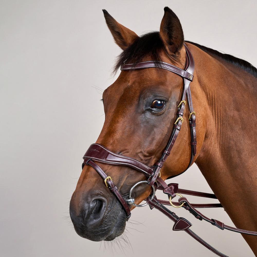 D Motion Bridle DY | Dy'on | Comfort — Image 17