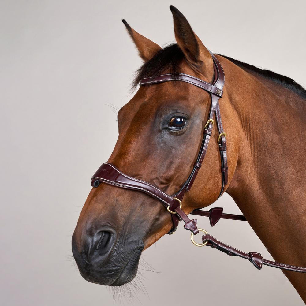D Motion Bridle DY | Dy'on | Comfort — Image 20