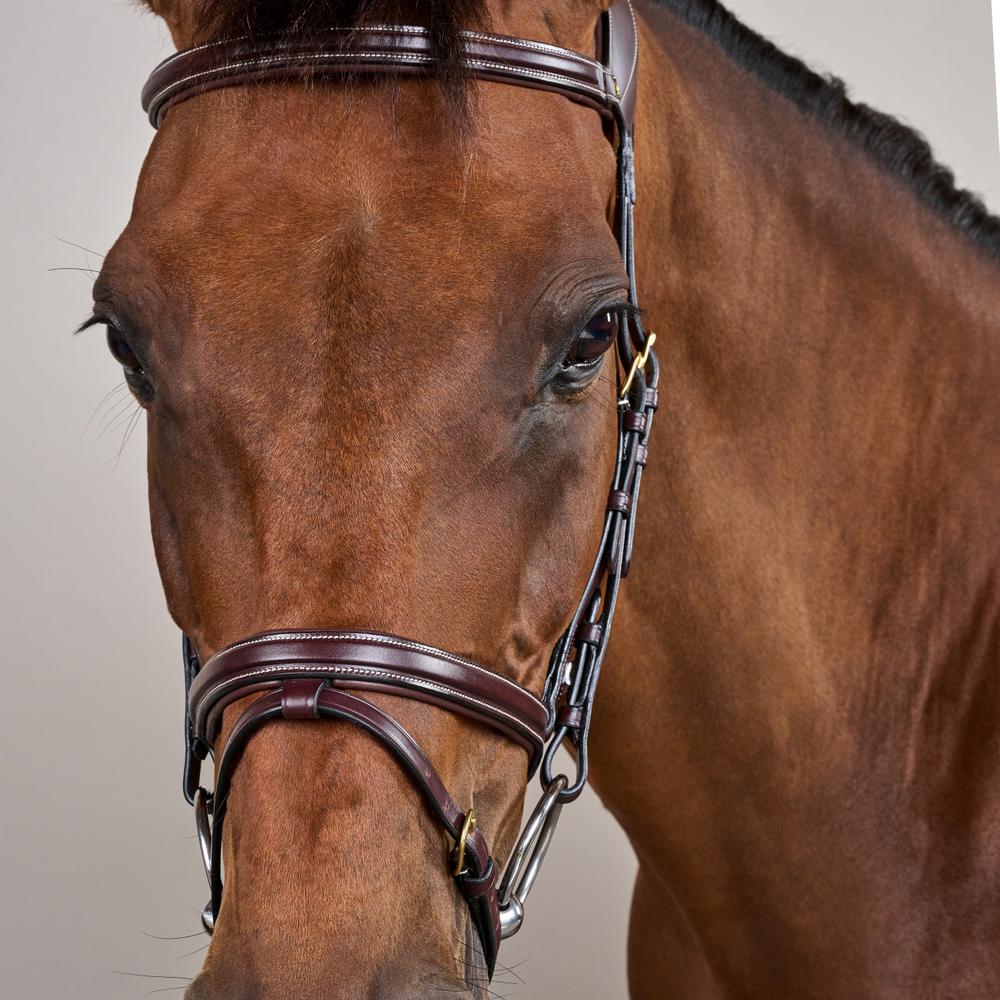 Difference Bridle DY | Dy'on | Comfort — Image 5
