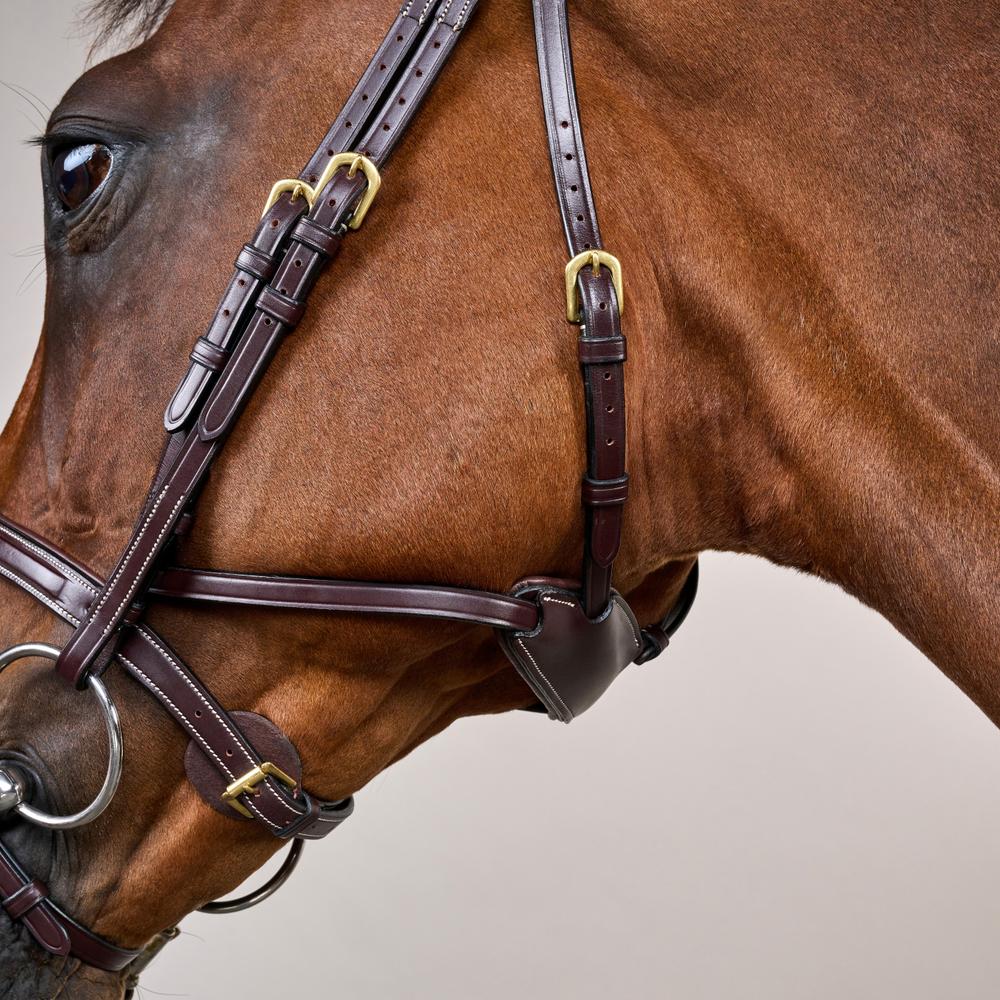 Difference Bridle DY | Dy'on | Comfort — Image 3