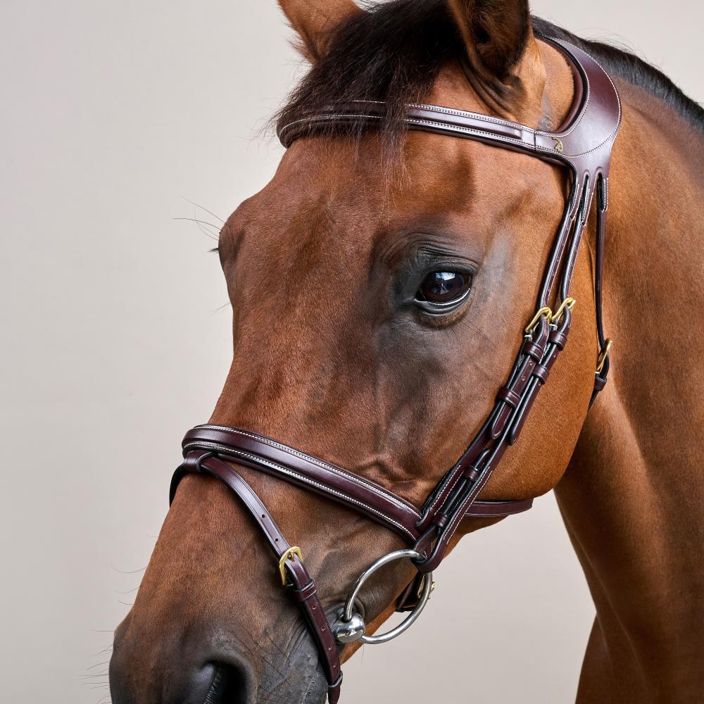 Difference Bridle DY | Dy'on | Comfort