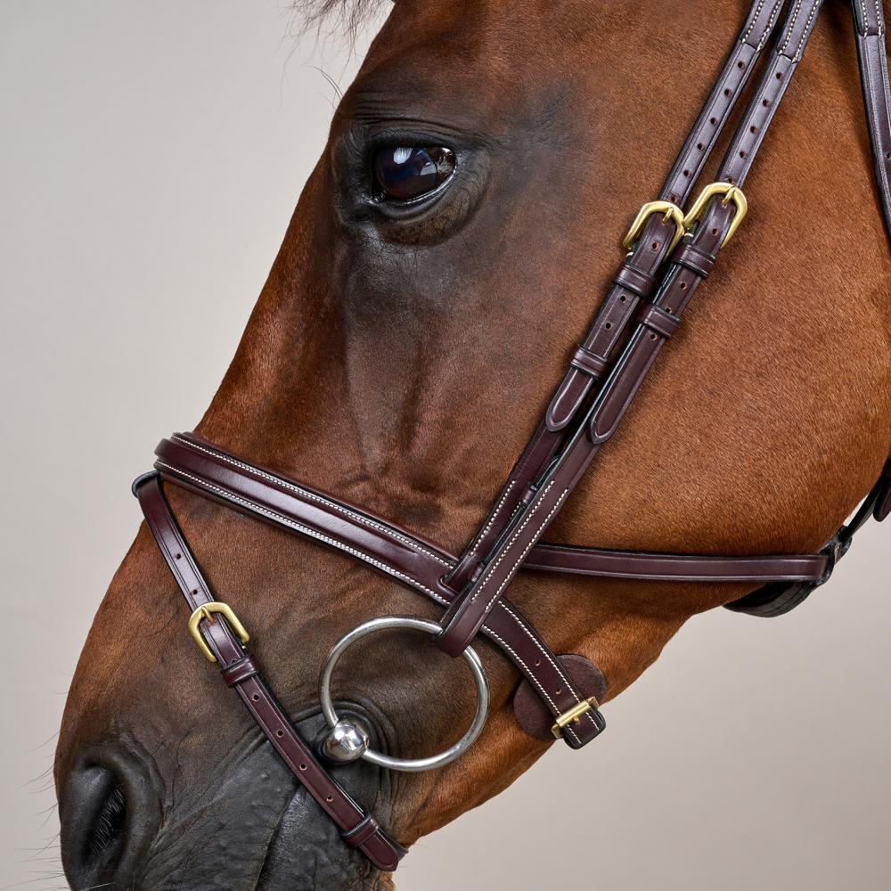 Difference Bridle DY | Dy'on | Comfort — Image 4