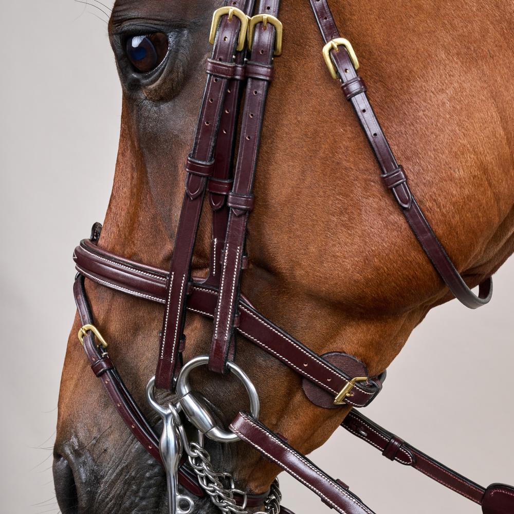 Flash Noseband Double Bridle DY | Dy'on | premiumleather — Image 5