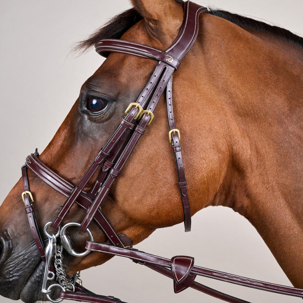 Flash Noseband Double Bridle DY | Dy'on | premiumleather — Image 2