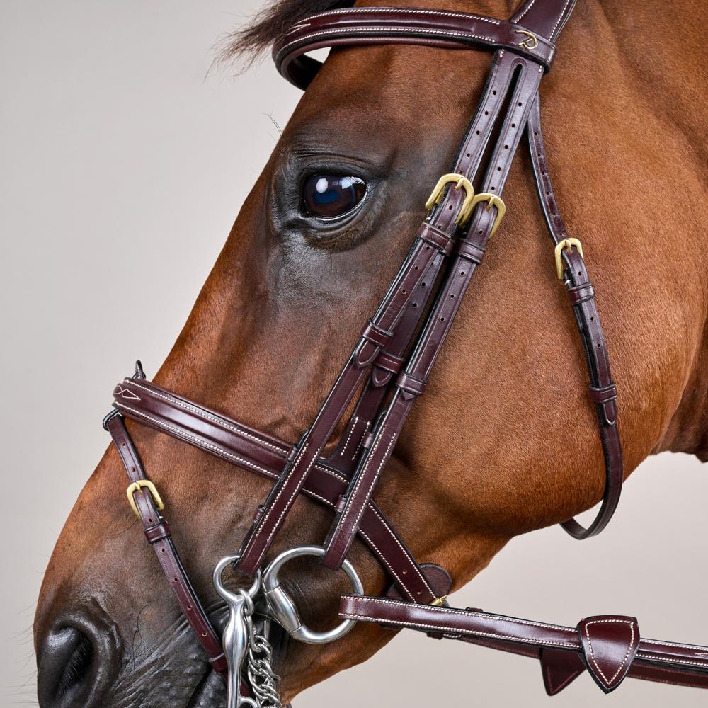 Flash Noseband Double Bridle DY | Dy'on | premiumleather — Image 3