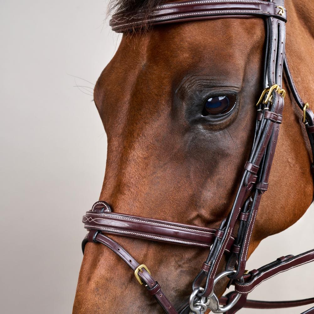 Flash Noseband Double Bridle DY | Dy'on | premiumleather — Image 4