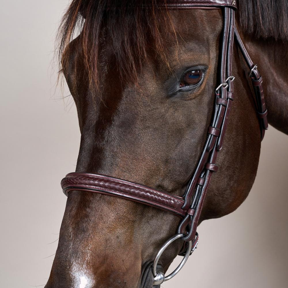 Plaited Noseband Bridle Without Flash NE | Dy'on | Durability — Image 8