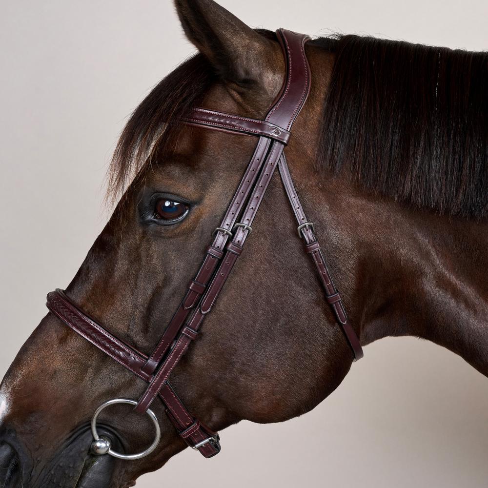 Plaited Noseband Bridle Without Flash NE | Dy'on | Durability — Image 9