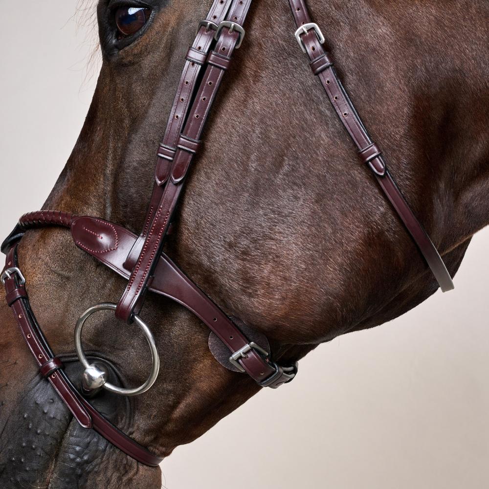 Braided Noseband Bridle with Removable Flash NE | Dy'on | Durability — Image 5
