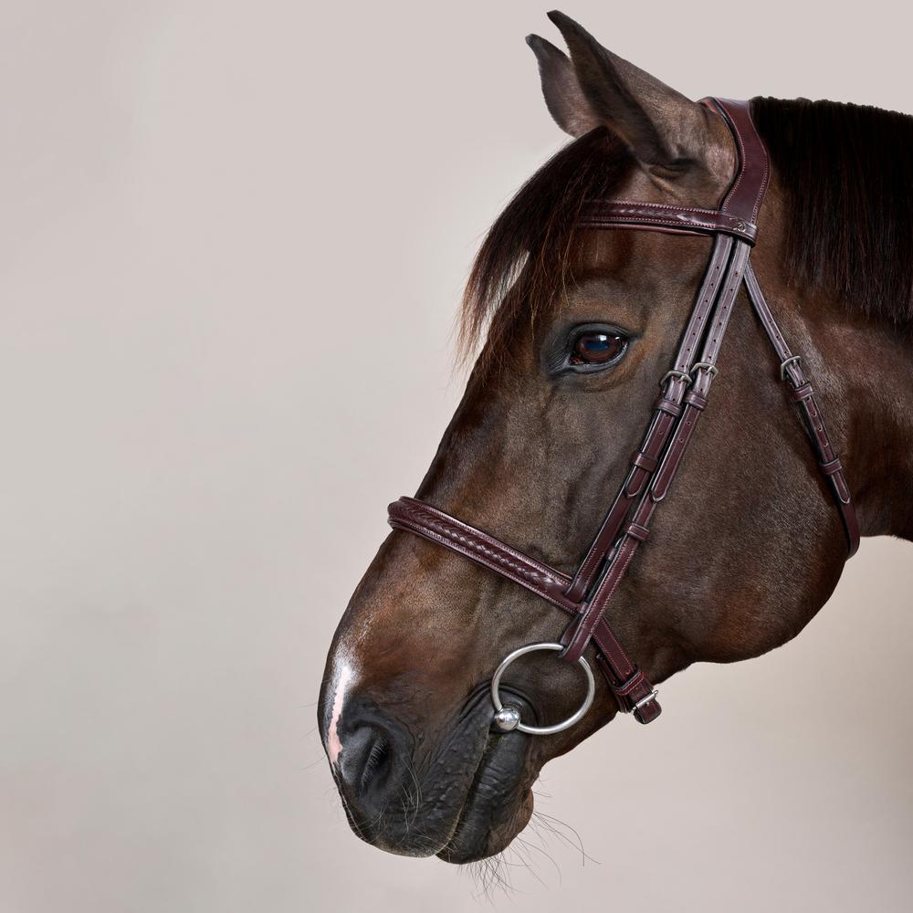Plaited Noseband Bridle Without Flash NE | Dy'on | Durability — Image 10