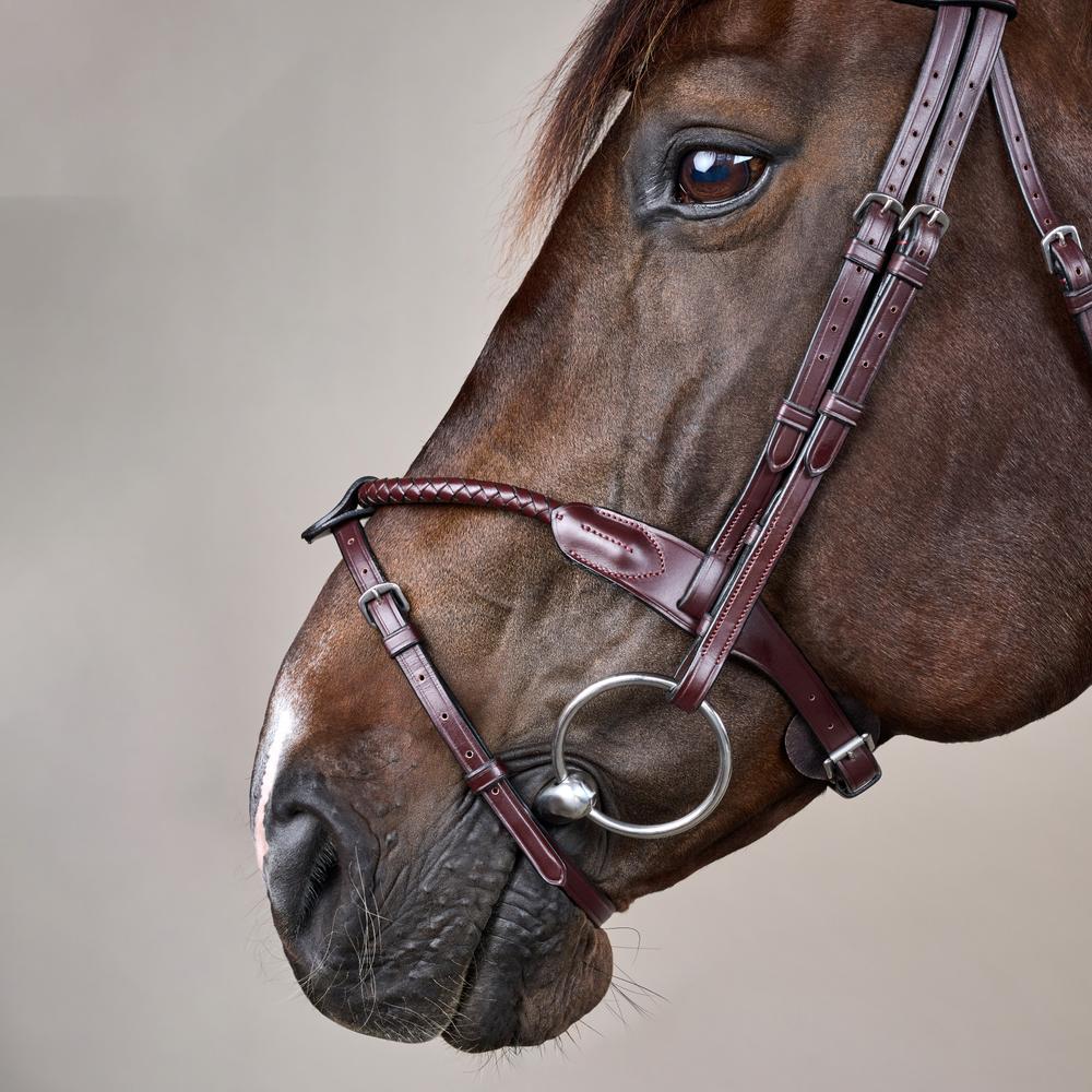 Braided Noseband Bridle with Removable Flash NE | Dy'on | Durability — Image 6