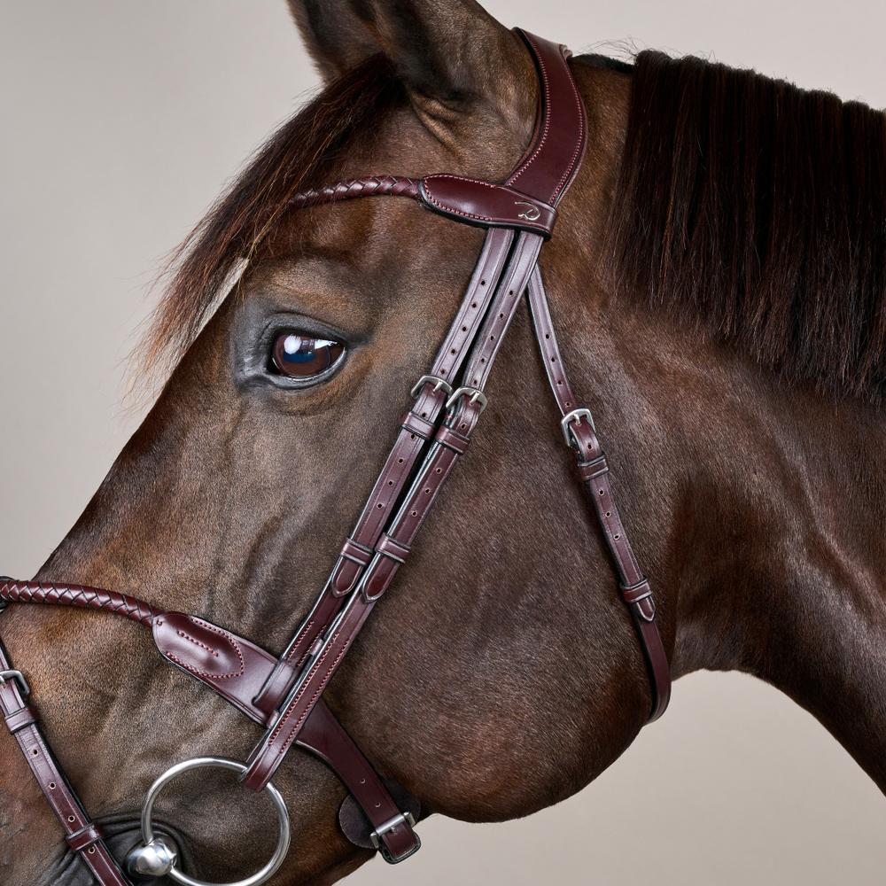 Braided Noseband Bridle with Removable Flash NE | Dy'on | Durability — Image 4