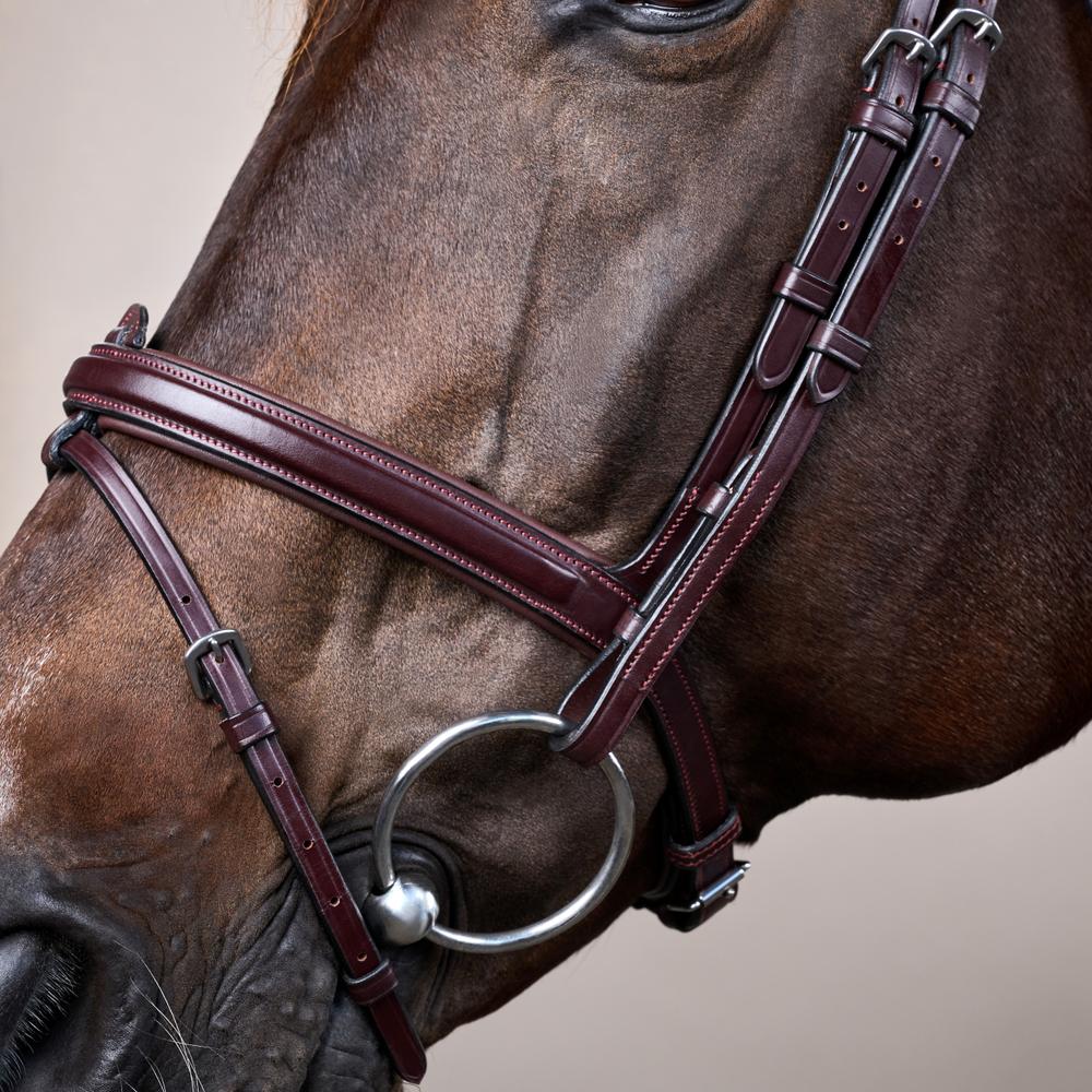 Flash Noseband Bridle NE | Dy'on | Versatile — Image 5