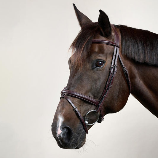 Flash Noseband Bridle NE | Dy'on | Versatile — Image 2