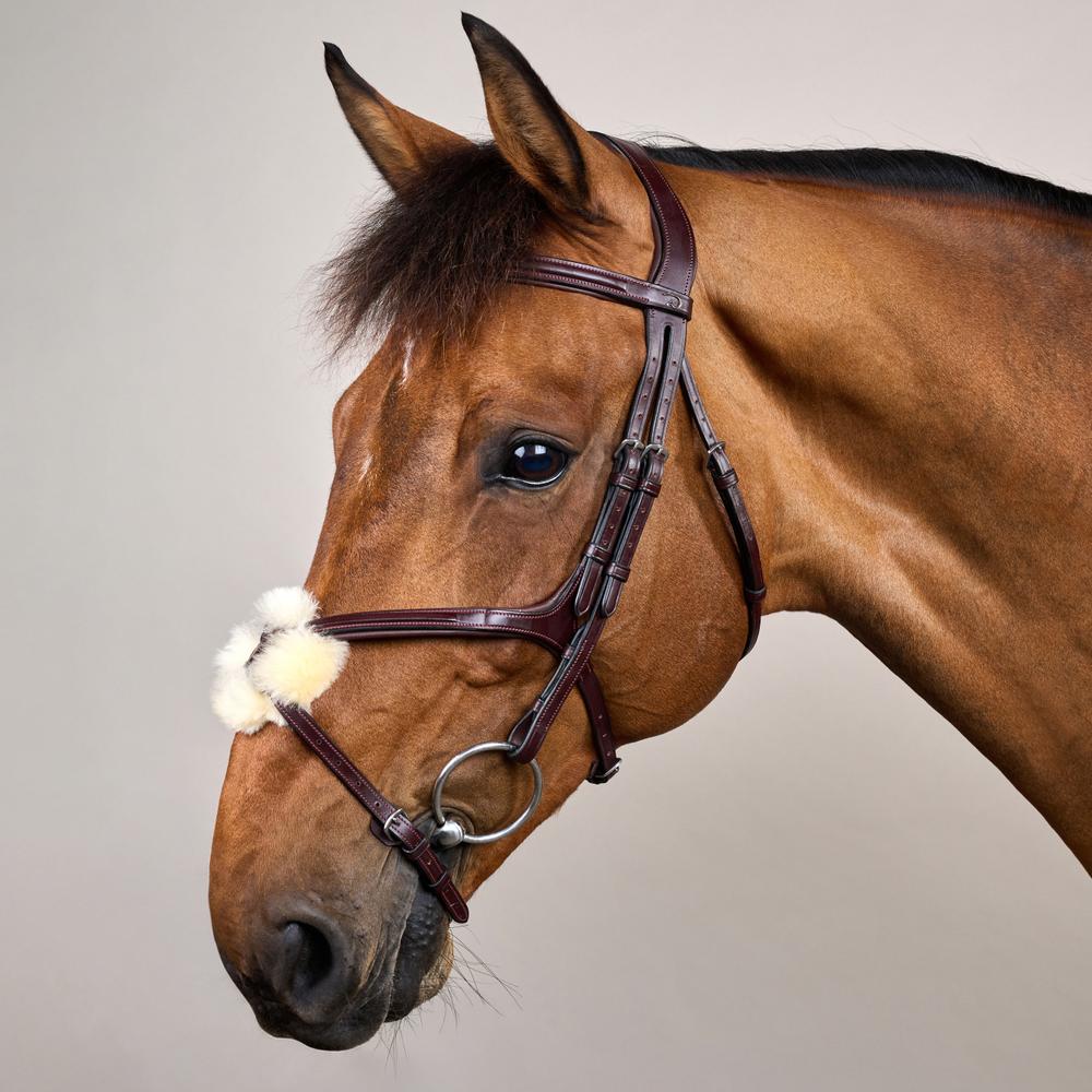Figure 8 Noseband Bridle NE | Dy'on | control — Image 3